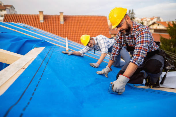 Best Roof Insulation Installation  in Baidland, PA
